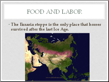 Food and Labor