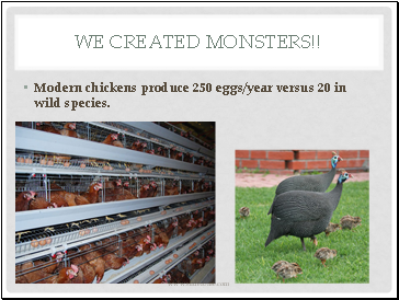 We created monsters!!