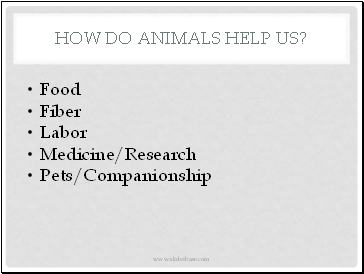 How do animals help us?