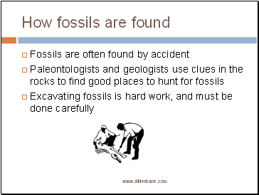How fossils are found