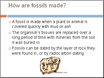 How are fossils made?