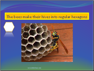 The bees make their hives into regular hexagons