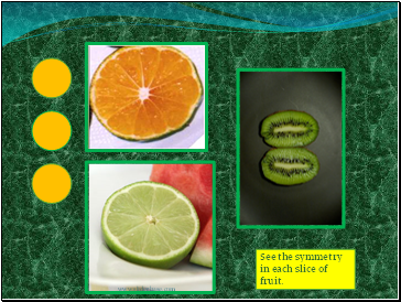 See the symmetry in each slice of fruit.