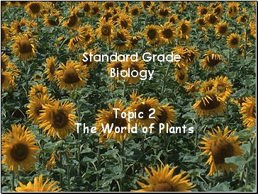 Topic 2 The World of Plants