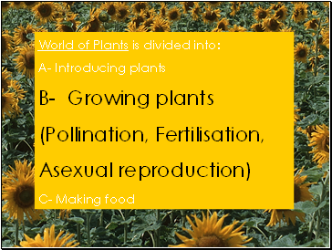 World of Plants is divided into: