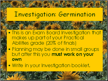 Investigation: Germination