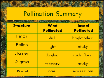 Pollination Summary