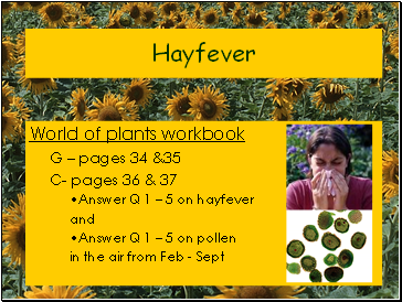 Hayfever