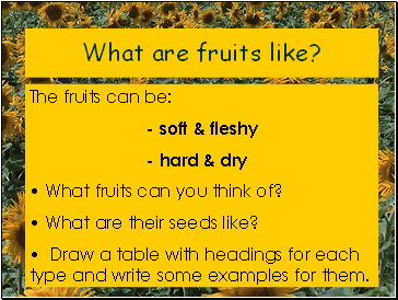 What are fruits like?