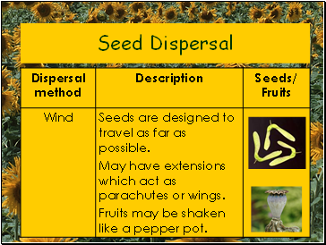 Seed Dispersal