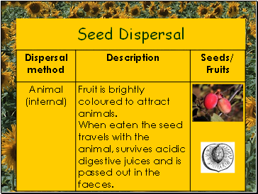 Seed Dispersal