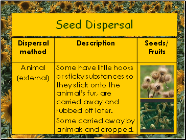 Seed Dispersal