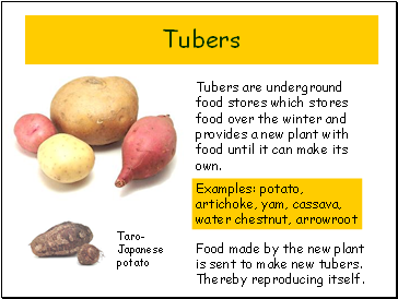 Tubers