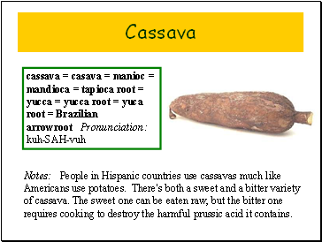 Cassava