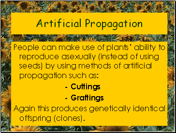 Artificial Propagation