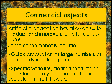 Commercial aspects