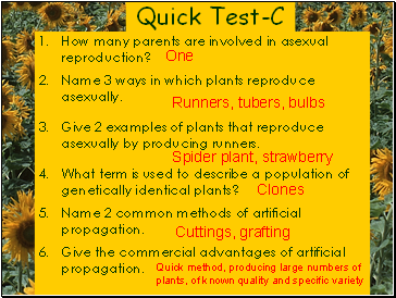 Quick Test-C