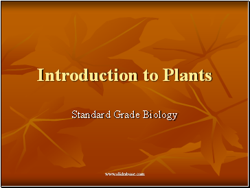 Introduction to Plants