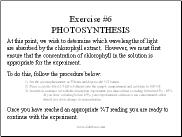 Exercise #6 PHOTOSYNTHESIS