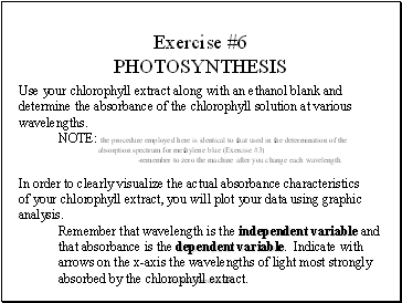 Exercise #6 PHOTOSYNTHESIS