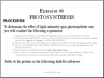 Exercise #6 PHOTOSYNTHESIS