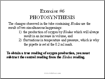 Exercise #6 PHOTOSYNTHESIS