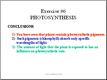 Exercise #6 PHOTOSYNTHESIS