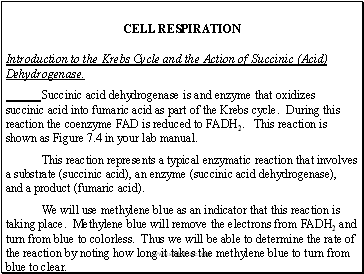 CELL RESPIRATION