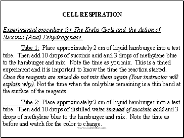 CELL RESPIRATION