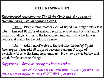 CELL RESPIRATION