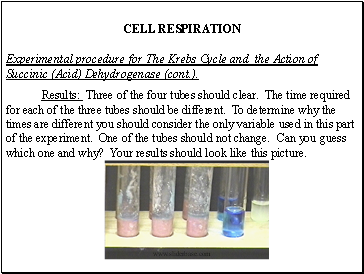 CELL RESPIRATION