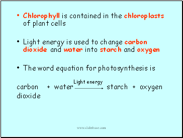 Chlorophyll is contained in the chloroplasts of plant cells