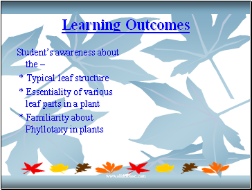 Learning Outcomes