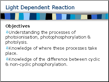 Light Dependent Reaction