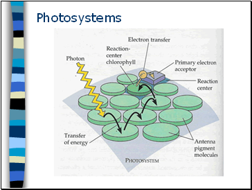 Photosystems