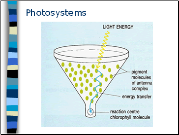 Photosystems