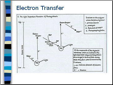 Electron Transfer