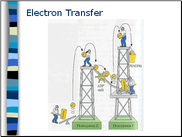 Electron Transfer