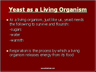 Yeast as a Living Organism