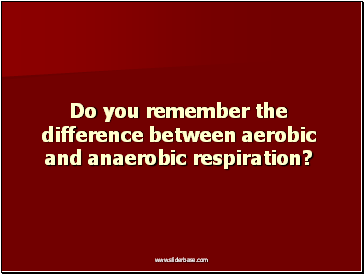 Do you remember the difference between aerobic and anaerobic respiration?