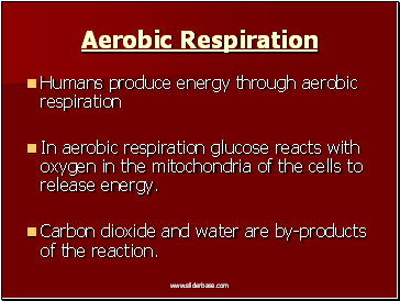 Aerobic Respiration