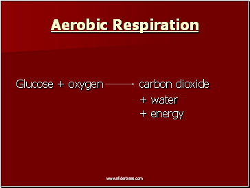 Aerobic Respiration