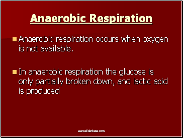 Anaerobic Respiration