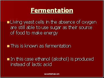 Fermentation