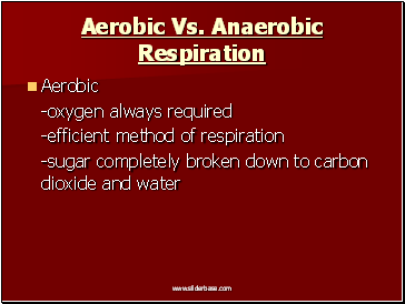 Aerobic Vs. Anaerobic Respiration