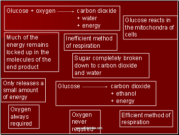 Glucose + oxygen carbon dioxide