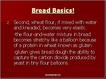 Bread Basics!