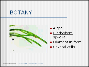 Botany