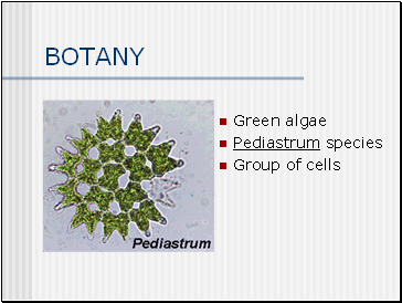 BOTANY