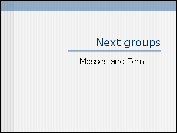 Next groups
